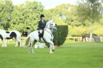 SBM_42917