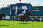 230526-Race 1-Lord Roxby-5784