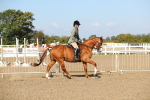 SBM_02222