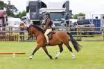 SBM_08611