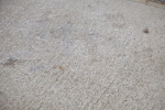 SBM_001726