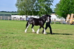 SBM_10115