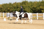 SBM_016735