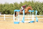 SBM_026205