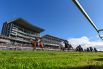 141023-Race 3-Montassib-3972