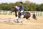 SBM_001174