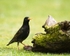 20110529-IMG_5474