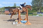 BPP_4522