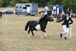 WJ6_5338