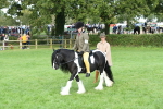 SBM_51859
