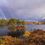 Loch Druim light