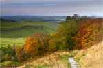 Autumn Tones