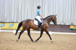 SBM_007115