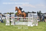 BPP_7335