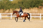 SBM_018015