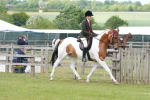 SBM_17638