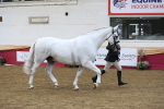 SBM_23676