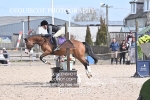 BPP_1319