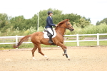 SBM_006490