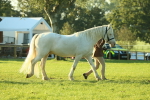 SBM_57295