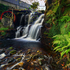 Waterwheel On The Glenariff River