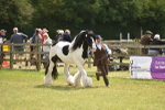 SBM_16052