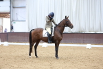 SBM_003443