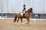 SBM_003885