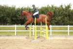 SBM_006199