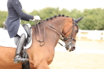 SBM_006354