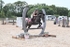 BPP_9026