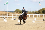 SBM_008834