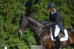 258-DHI_KING_NELSON-Barnie_Brotherton-WEDTrotUp+DR portfolio