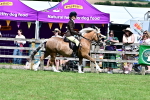 SBM_07961
