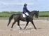 BPP_6558