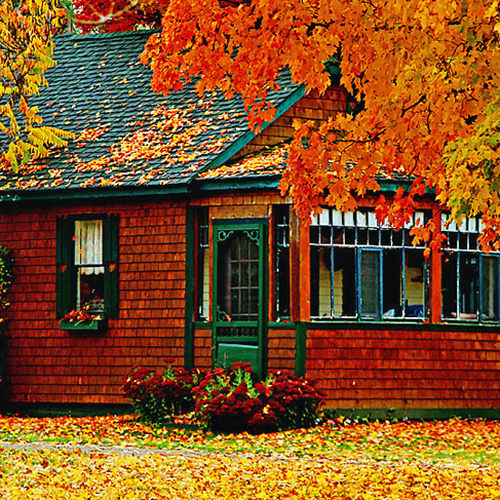 New Brunswick fall colors