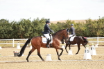 SBM_008642