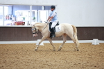 SBM_008846