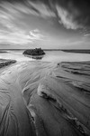 IMG_8269 bw v3