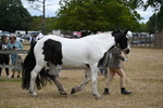 WJ6_8375