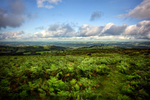 Hay Bluff