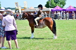 SBM_13910