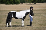 WJ6_8556