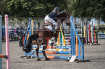 North Showjumping_2016-14