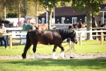 SBM_36539