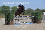 BPP_8317