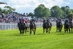 310526-Race 5-Fandom-9068