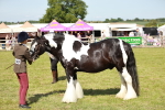 SBM_08824