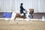 SBM_006982