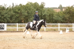 SBM_000199